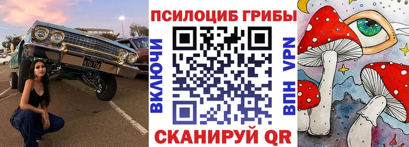 OMG как войти  Камень-на-Оби  Псилоцибиновые грибы ЛСД  где найти  